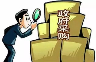 中国政府的监管有什么么问题??该如何解决??