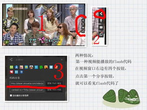 目前flash的 最新版本