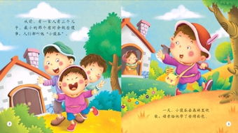 傻瓜是什么意思？