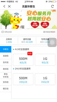 中国移动查询流量怎么查的