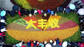 中国农民丰收节是哪个节气