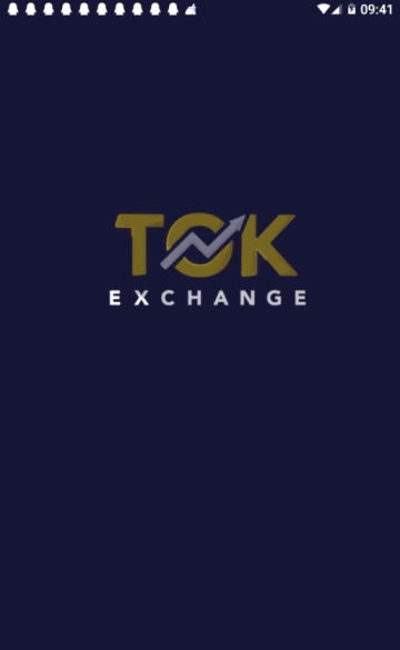 比拓B—TOK什么意思？