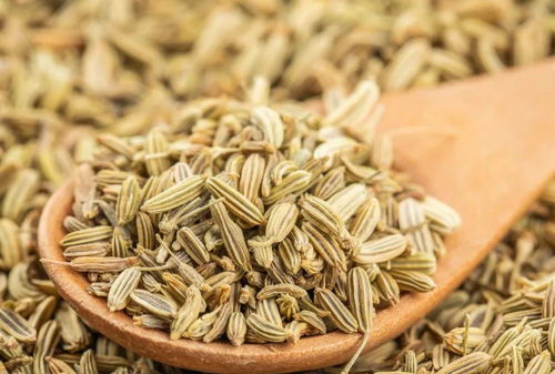 iphone13香是什么梗？