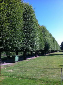 北欧都有哪些旅游景点