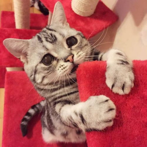 伤心难过图片，女人伤心委屈的图片