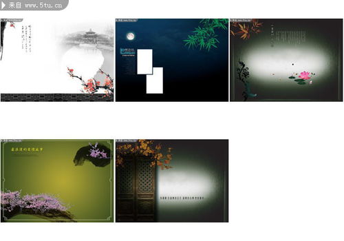 免费相册制作带音乐,免费相册恢复软件