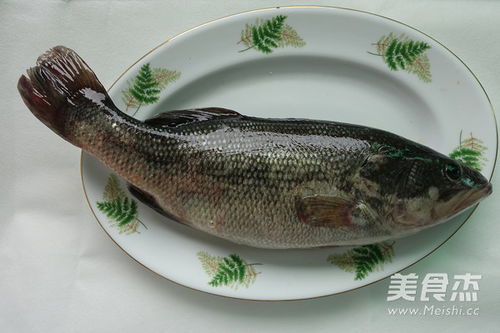 鲈鱼怎么烧好吃是清蒸还是红烧