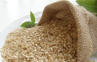 糙米是什么？