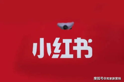 小红书推广引流,小红书推广怎么做