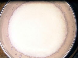 谁知道英氏的米粉吗？怎么样？