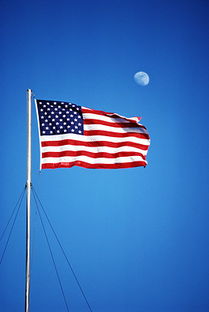 旗帜网免费空间应该不错哦