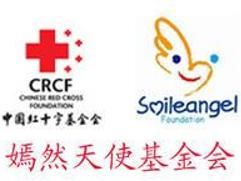 嫣然天使基金要怎样申请