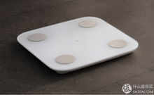 小米体脂秤怎么测体脂