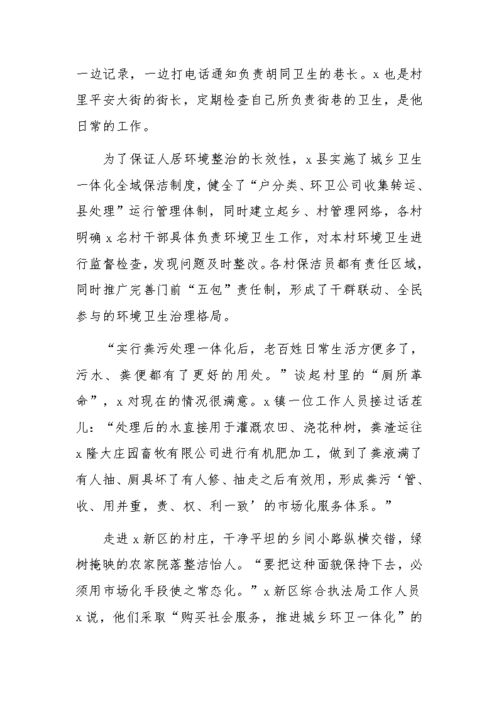 农村人居环境整治工作总结