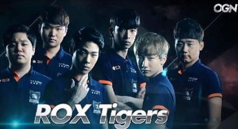rox skt,rox tiger队员