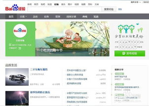 自己用电脑怎么挣钱