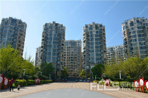 怎么去世纪天成官网