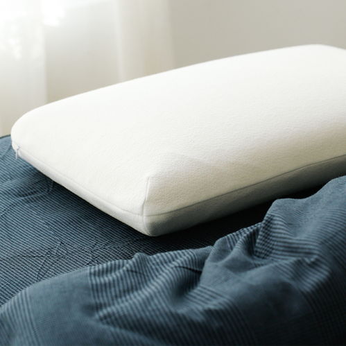 记忆棉枕头哪个牌子好