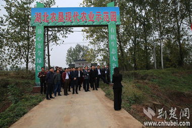 一个网站建设费用大概需要多少？