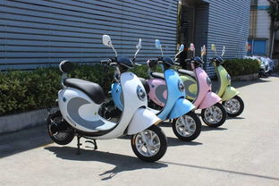 电动车质量排名前十名分别是什么？