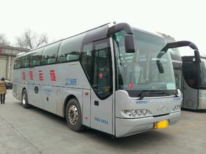 a2本能开什么车型，b本能开什么车