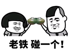 老铁 666,老铁 这是什么表演