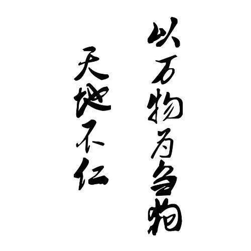 天地不仁以万物为刍狗圣人不仁以百姓为刍狗是什么意思