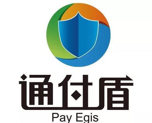 通付盾 风险评估,通付盾 移动安全