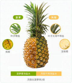 凤梨英文怎么说