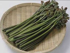 蕨菜是什么样子的？谁有蕨菜的图片？