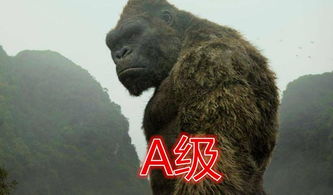 猩猩队长玩具,猩猩队长动画片叫什么名字