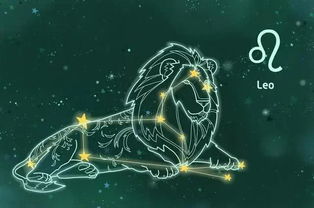 白羊座怎么追狮子座女生,怎么追狮子座女生