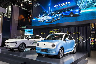 长城欧拉的车质量怎么样？有欧拉的车主一下吗？