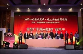 网站建设需要什么条件