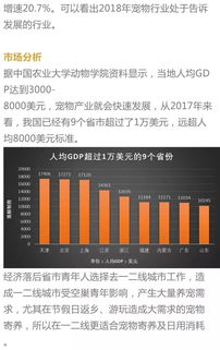 请问；现在最热门的创业项目有哪些？