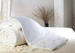 蚕丝被品牌推荐,蚕丝被品牌排行