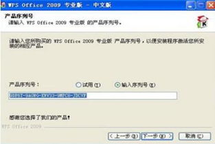 wps企业版激活码怎么用