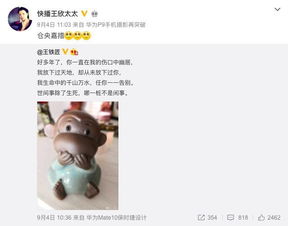 求网页版的电影。不需要快播的。给网。速度