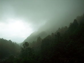 山雨欲来是什么意思