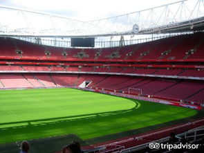 请介绍酋长球场