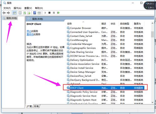 网络地址网络地址是什么