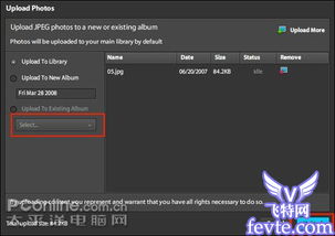photoshop在线版怎么把模糊的照片变清晰