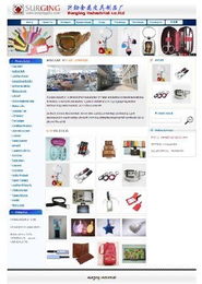 网上购物网站建设