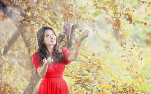 《日光微暖爱倾城》txt全集下载