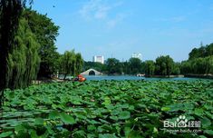 安徽省合肥市有什么好玩的地方?景点