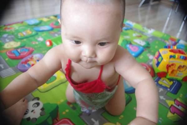 1岁8个月宝宝早教知识