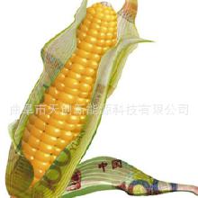 玉米深加工有哪些项目