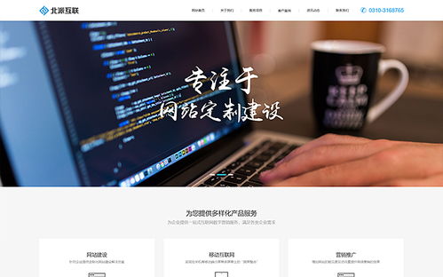 高端定制网站和低端网站建设的区别