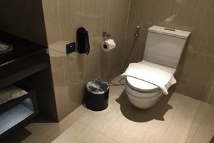 马桶堵了但还缓慢下水怎么才能疏通