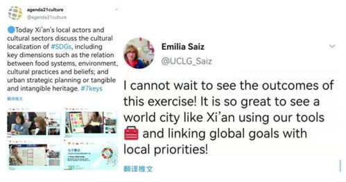 西安2020的专家点评